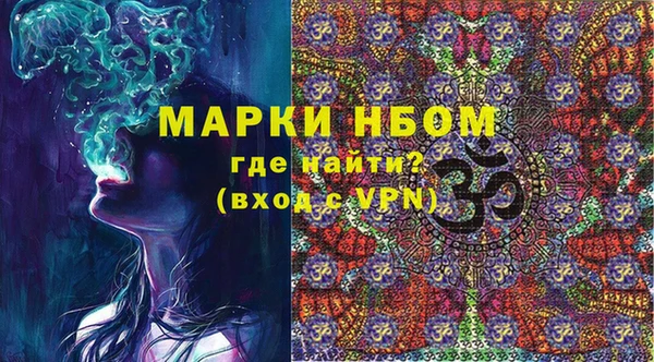 гашик Коряжма