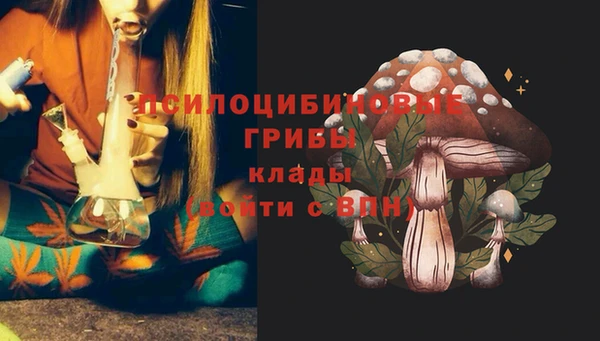 мет Кодинск