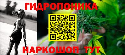 мяу мяу мука Аргун