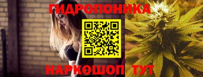 прущая мука Гатчина