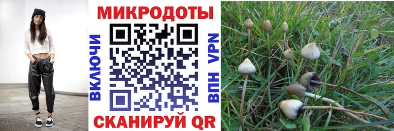 Псилоцибиновые грибы GOLDEN TEACHER Калининград