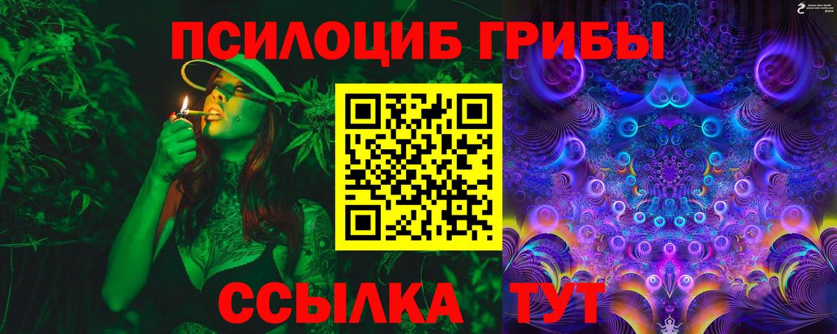 Калининград  Галлюциногенные грибы Cubensis  Вход с VPN 